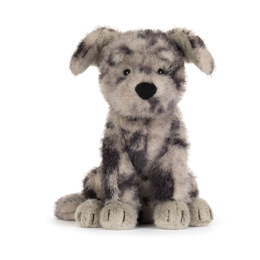 Fluff Rescue Dog